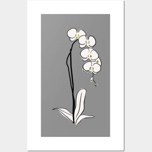 Orchid 2 Posters and Art